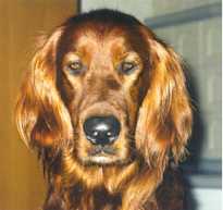 Askan vom Schloss Weinberg