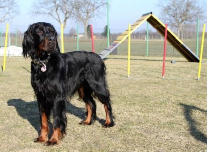 Februar 2010
