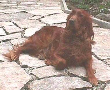 Blanka von der Gr&uuml;nau