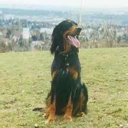 Lady Georgie &uuml;ber Wien