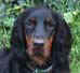 Camy