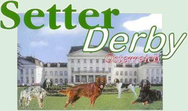 Setterderby 2000