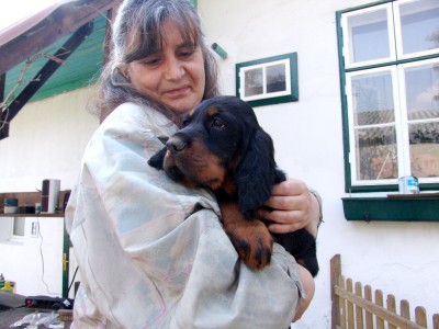 Dorea's Harry the King, Marchfeld