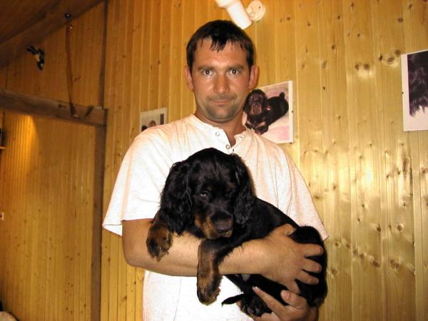 Dorea's Bailey, Nieder�sterreich