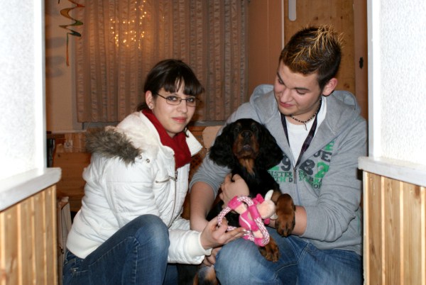 Jingle Jangle in Love with Dorea, Kogl, N�
