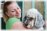 Harley in Love with Dorea, Ungarn