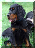 DoreasIncredibleLewis080611.jpg (83312 Byte)