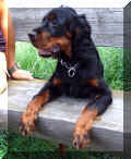 DoreasIndira080611.jpg (82489 Byte)