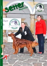 Titelbild: Evan Earl Legend mit Besitzerin Ilona Bois, Master of Setter Day 2009
