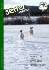Titelbild: Zwei Irish Red & White-Setter beim Winterspa - Heftdownload 8,1 MB