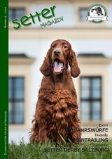 Titelbild: IS Copper's Magic Master, Download demnaechst