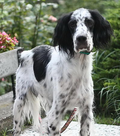 Max